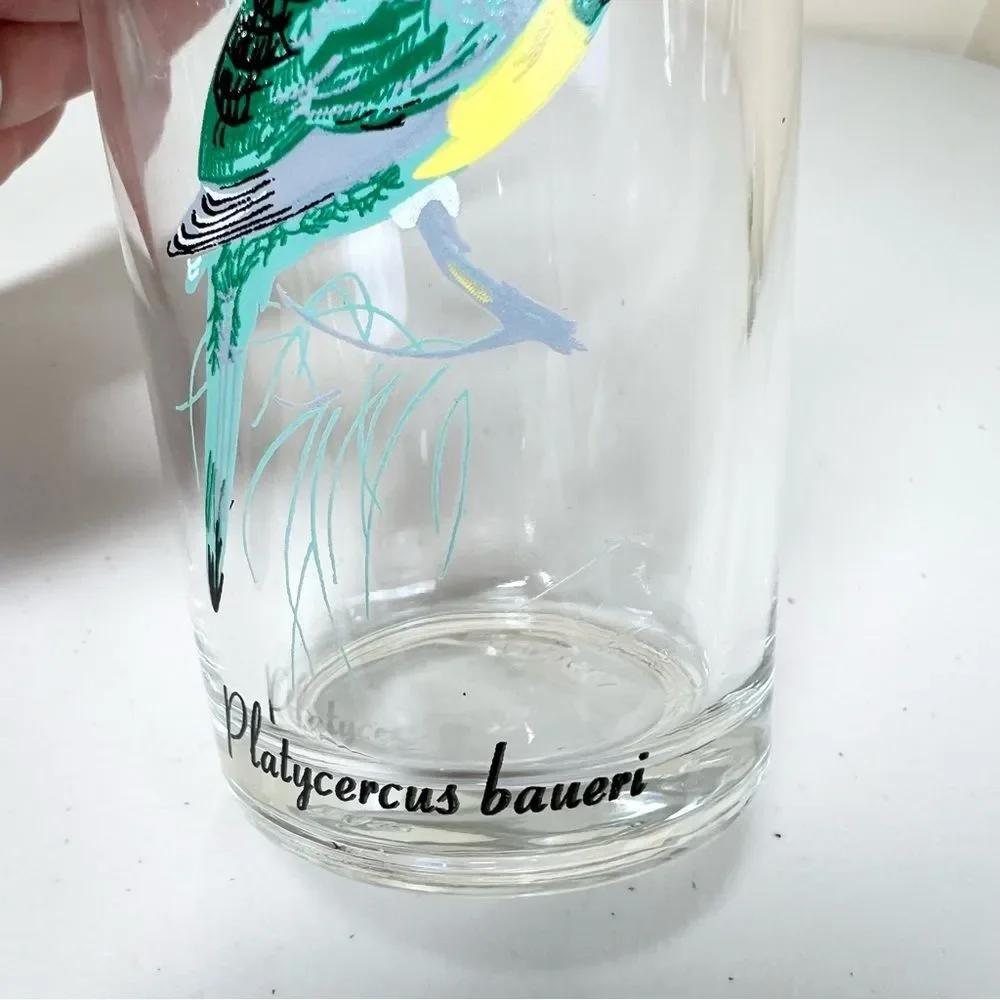 VTG 60’s Kig Malaysia Exotic Tropical Bird Glasses Set of 6